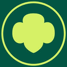 Team Page: Troop 54150